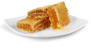 mjalt me hoje